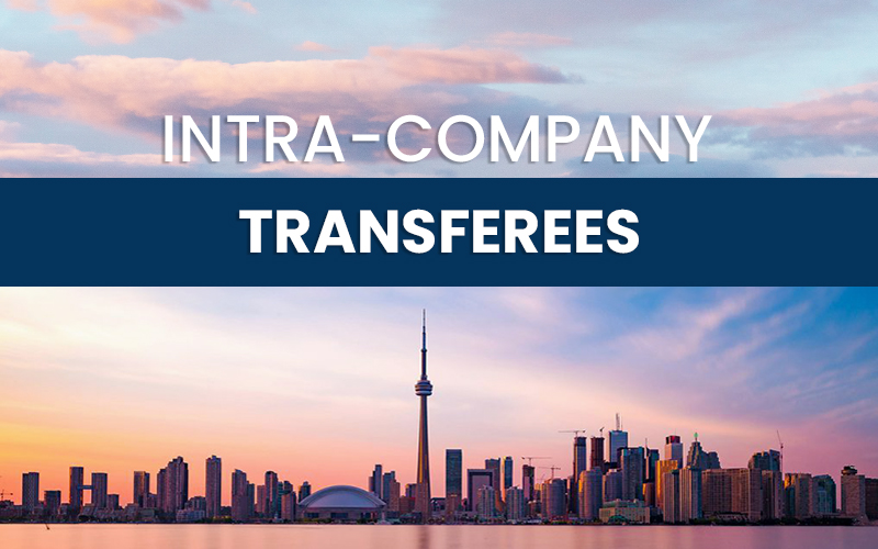 What Is an Intra-Company Transfer?