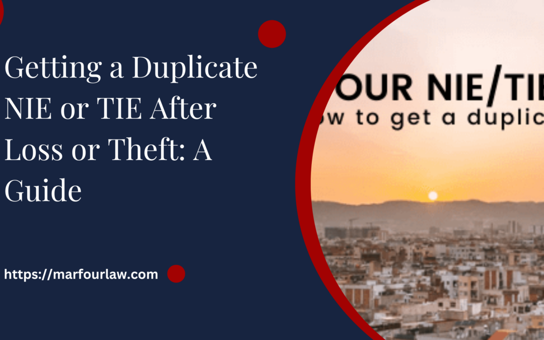 Getting a Duplicate NIE or TIE After Loss or Theft: A Guide