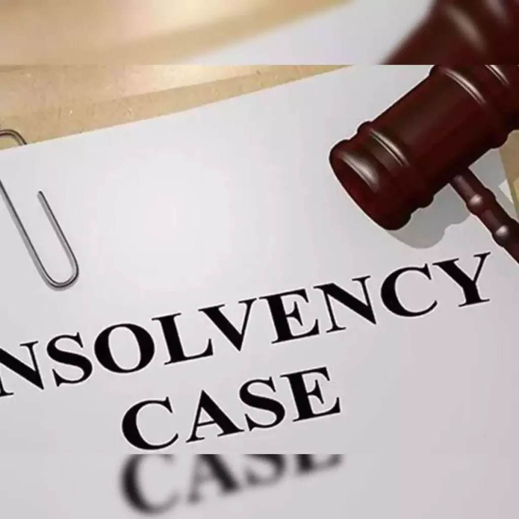 Key Players in an Insolvency Proceeding
