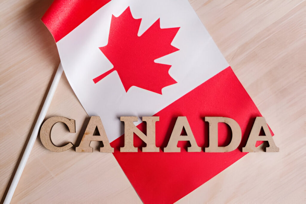 Canada Golden Visa vs Non Lucrative Visa | What’s the Difference